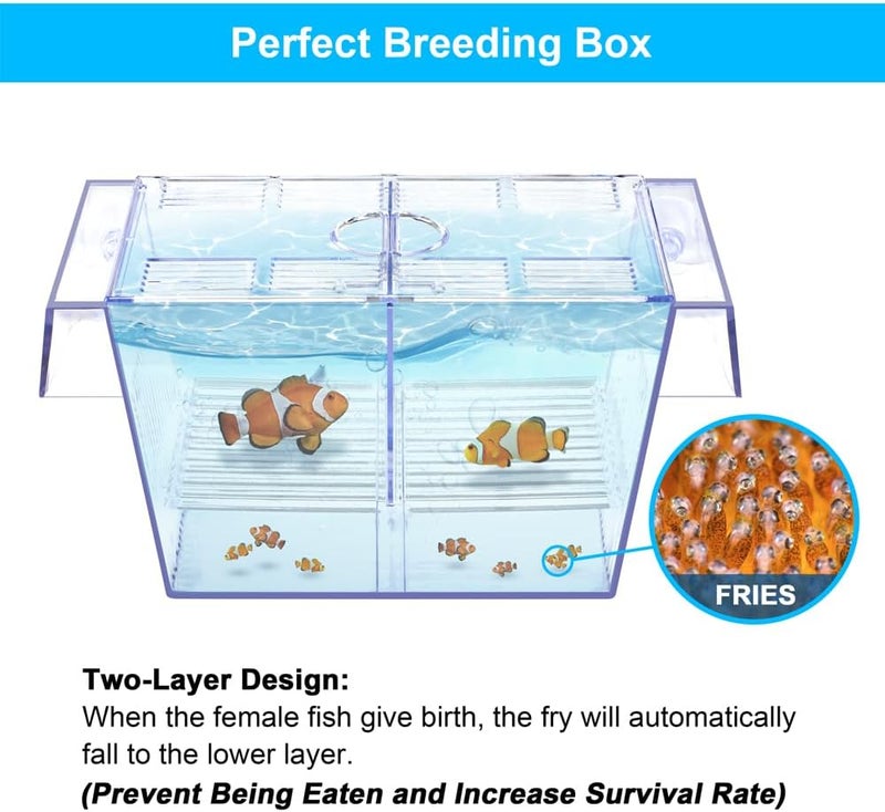 DATOO Fish Breeding Box Aquarium Holding Tank Transparent Fish Isolation Box Acclimation Hatchery Incubator Breeder for Betta Shrimp Clownfish Guppy - Image 3